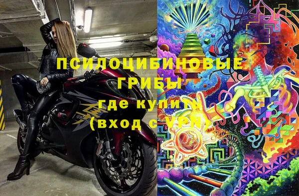 spice Абаза