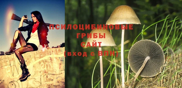 дурь Абдулино