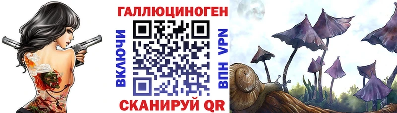 Псилоцибиновые грибы GOLDEN TEACHER  Лебедянь 